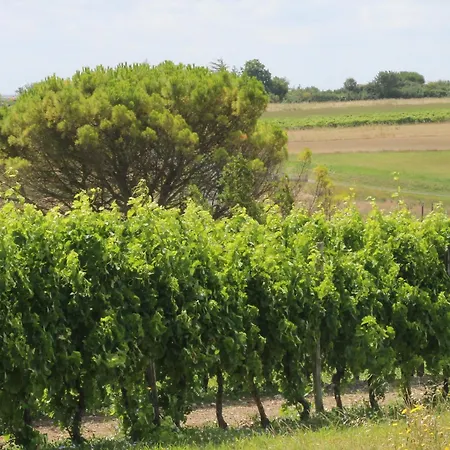 Pensjonat Domaine De Kiba 3*