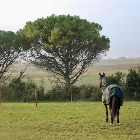 Pensjonat Domaine De Kiba Barzan