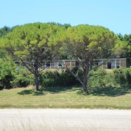 Domaine De Kiba