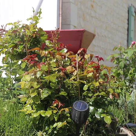 Pensjonat Domaine De Kiba 3*