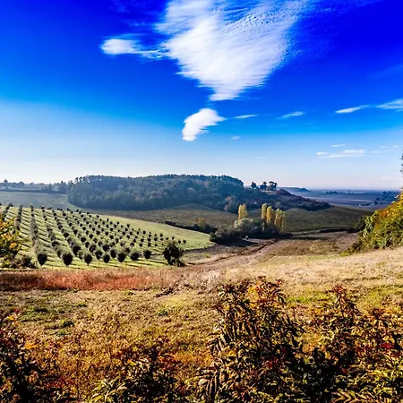Domaine De Kiba