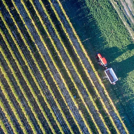 Pensjonat Domaine De Kiba