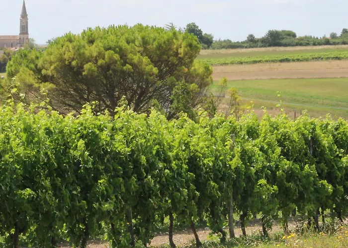 Pensión Domaine De Kiba 3*