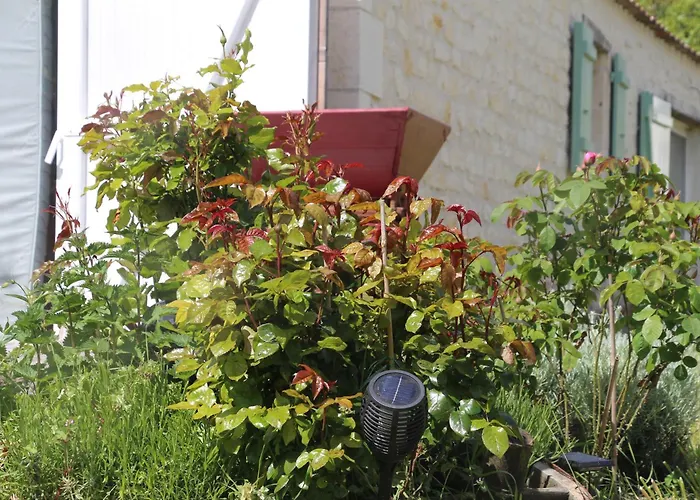 Pensión Domaine De Kiba 3*