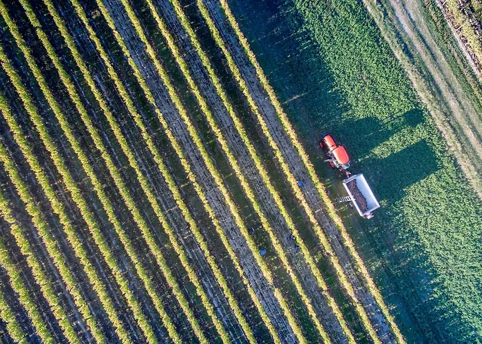 Pensión Domaine De Kiba